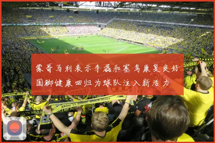 蒙哥马利表示李磊和塞鸟康复良好国脚健康回归为球队注入新活力